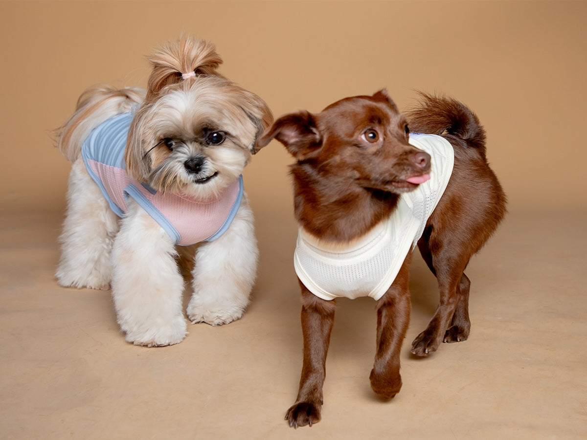 High-performance sun protection, antibacterial, breathable and cooling vest Secondary image