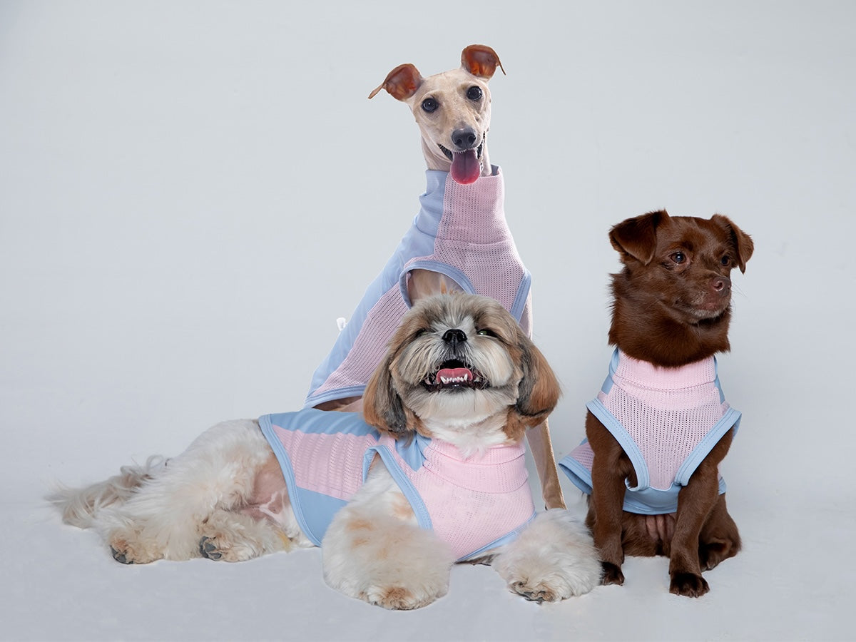 High-performance sun protection, antibacterial, breathable and cooling vest