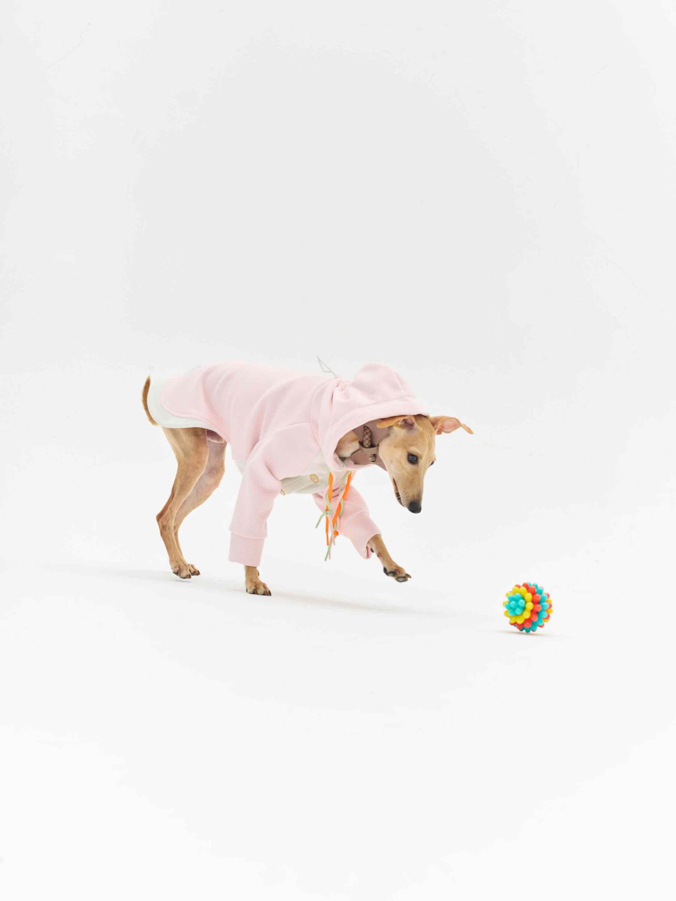 16  CLAW CRAFT - Far-infrared heating antistatic hoodie Secondary image