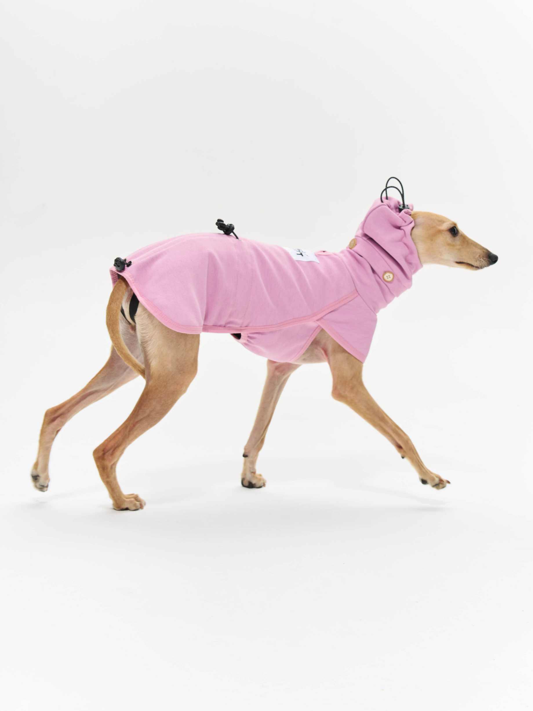 16 CLAW CRAFT - Hooded light-absorbing and heat-generating jacket Main image