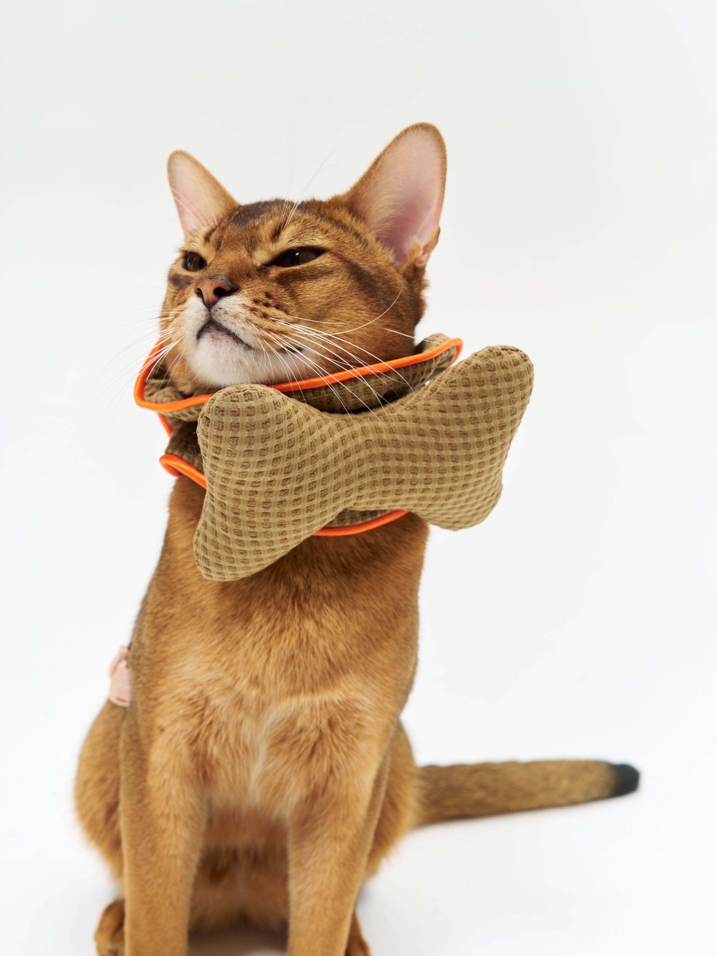 16 CLAW CRAFT- Bone-shaped dog bibs