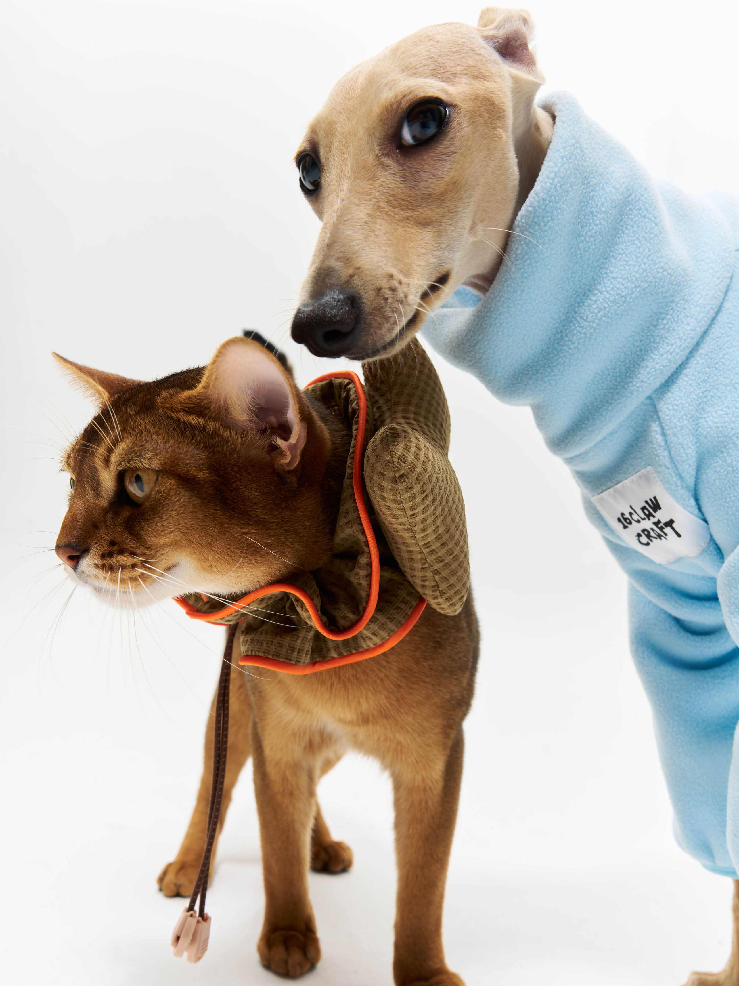 16 CLAW CRAFT-Permanent antistatic dog four-legged coat