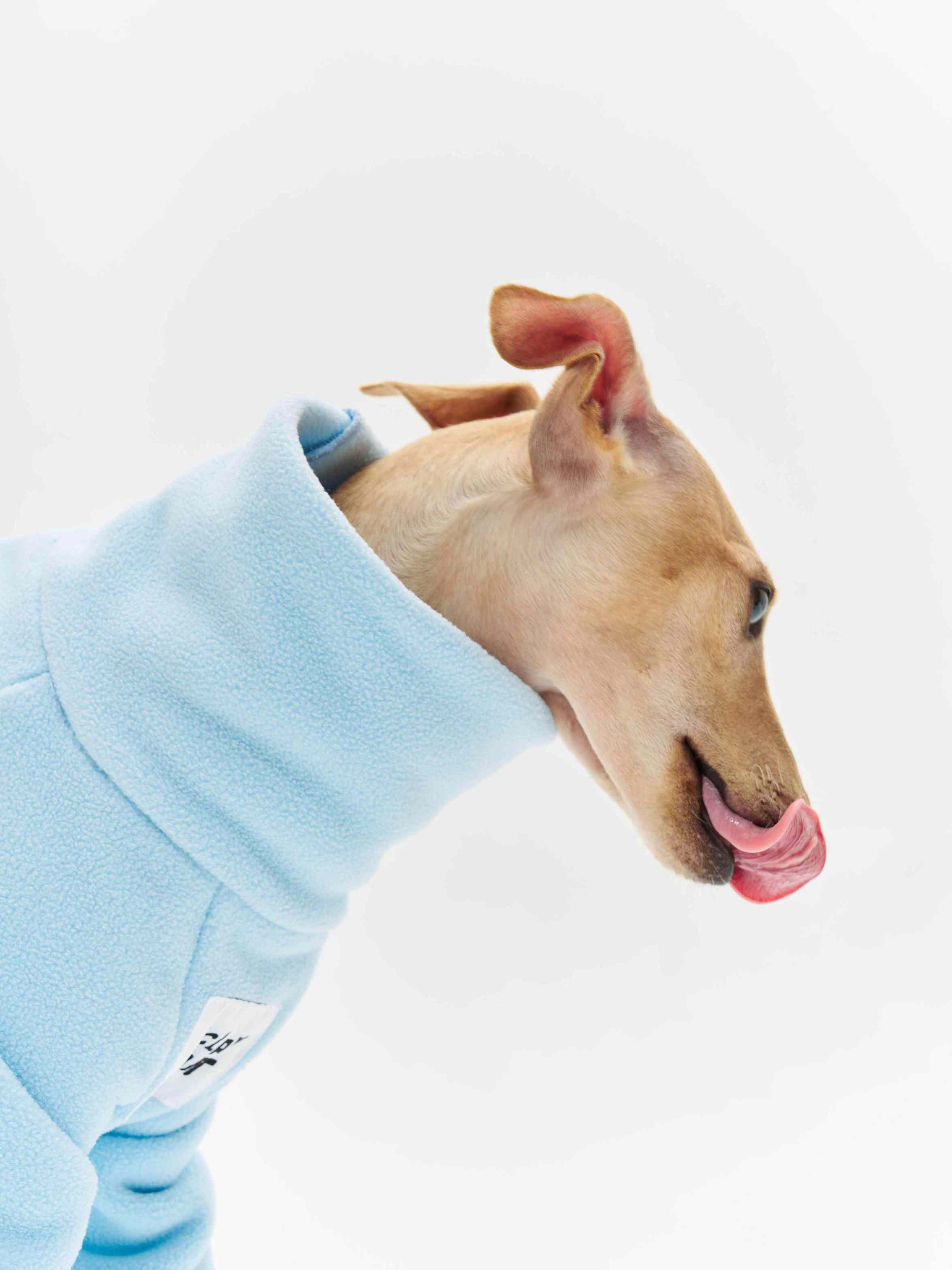 16 CLAW CRAFT-Permanent antistatic dog four-legged coat