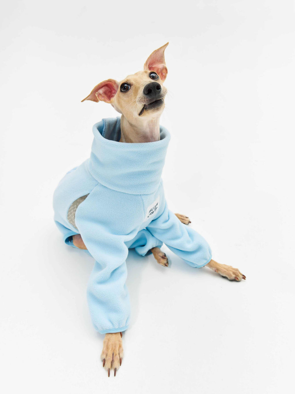 16 CLAW CRAFT-Permanent antistatic dog four-legged coat