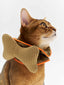 16 CLAW CRAFT- Bone-shaped dog bibs