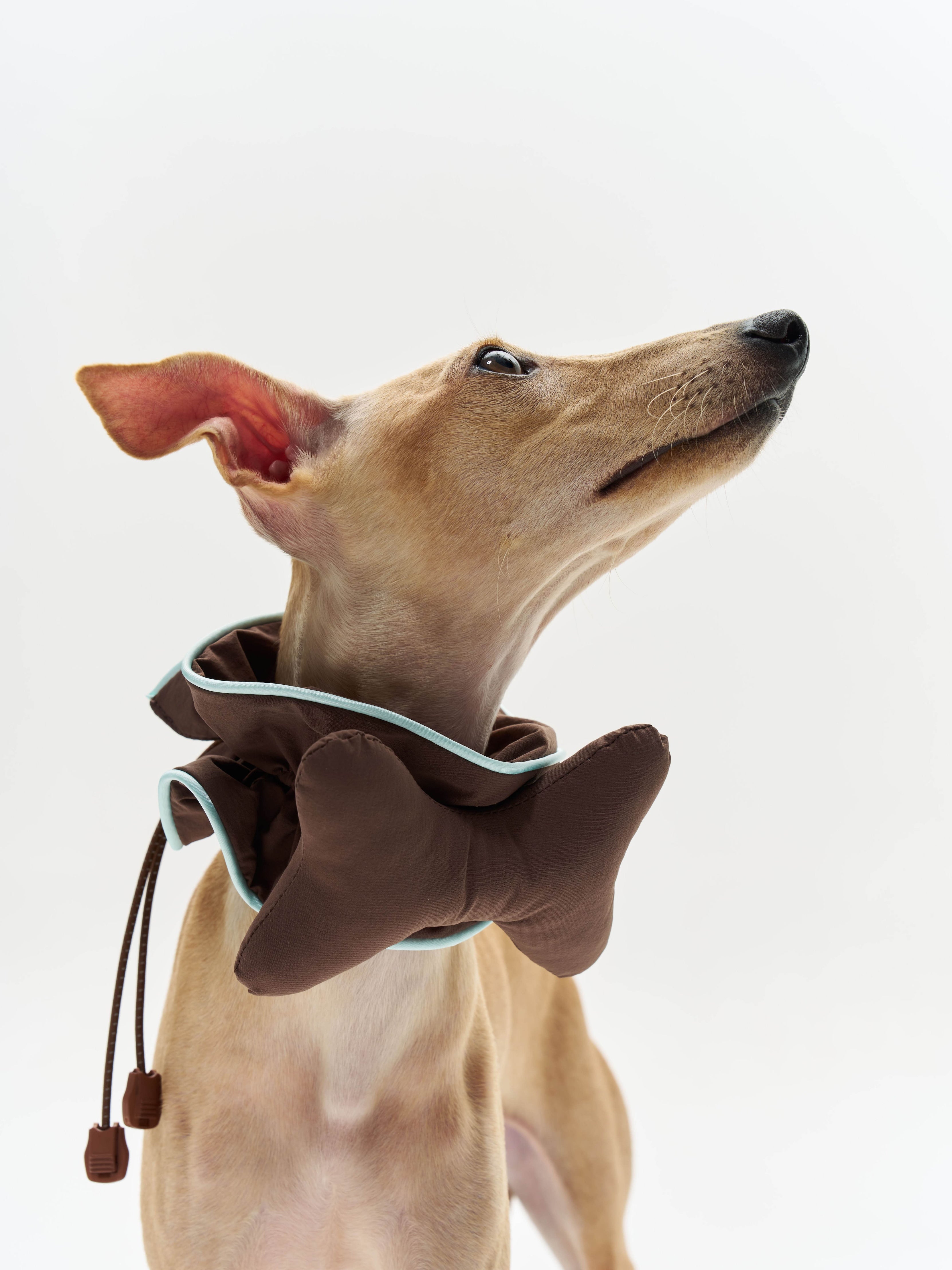 16 CLAW CRAFT - Bone-shaped dog bibs Main image
