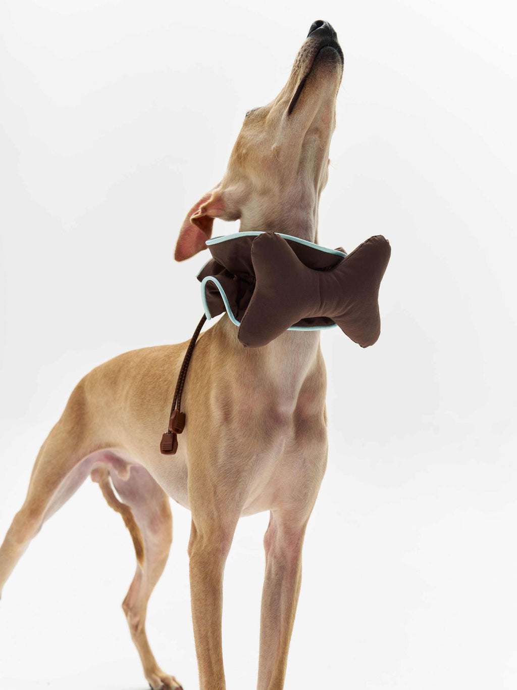 16 CLAW CRAFT - Bone-shaped dog bibs