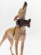 16 CLAW CRAFT - Bone-shaped dog bibs