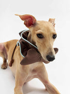 16 CLAW CRAFT - Bone-shaped dog bibs