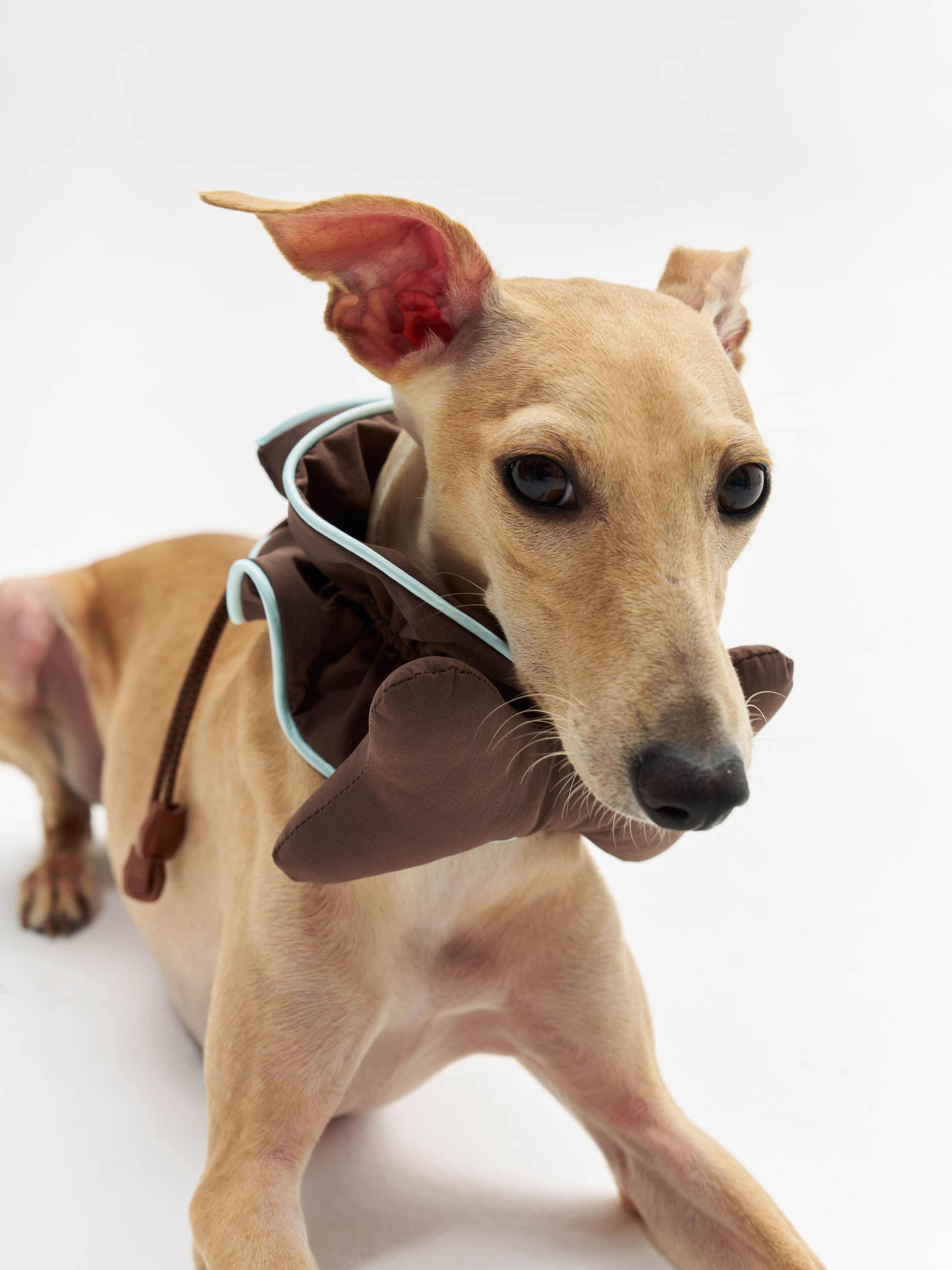 16 CLAW CRAFT - Bone-shaped dog bibs