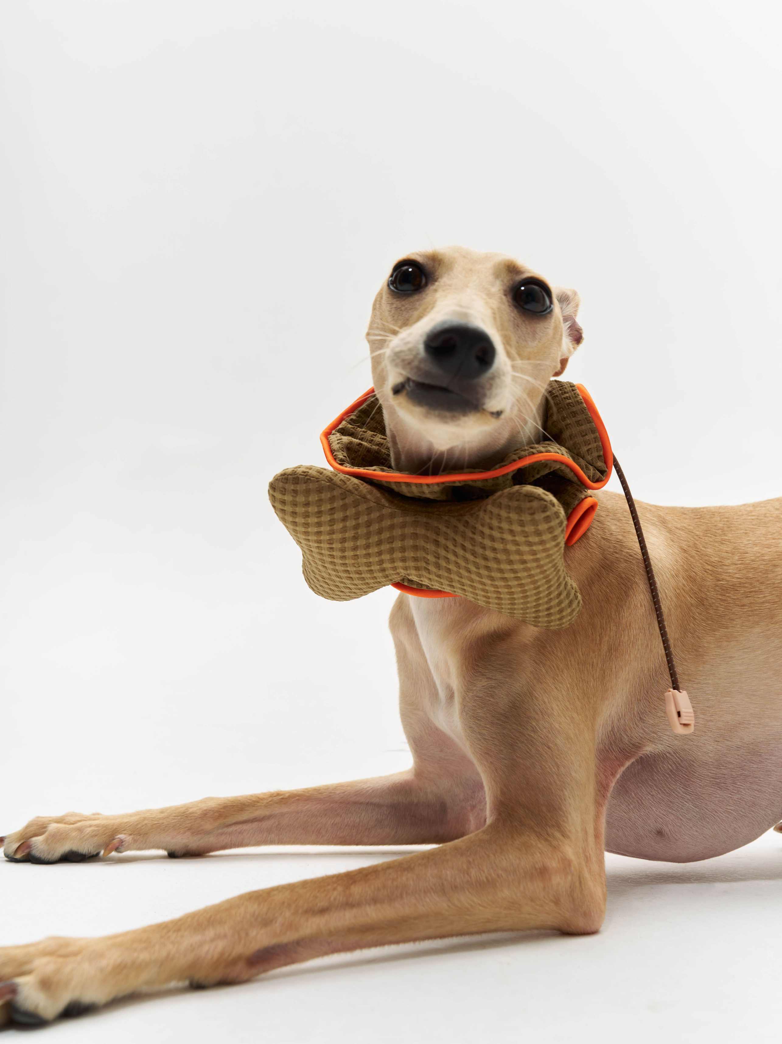 16 CLAW CRAFT- Bone-shaped dog bibs