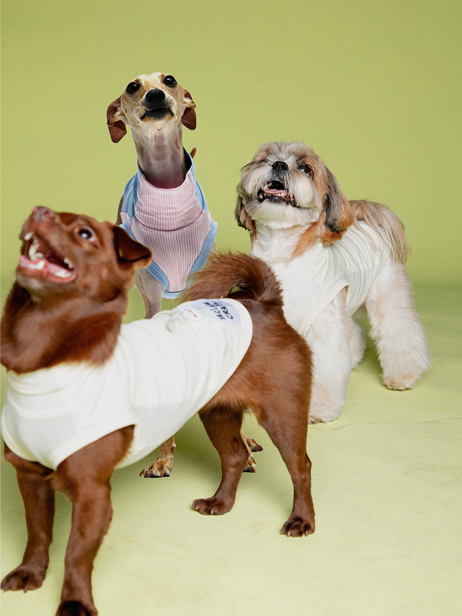 High-performance sun protection, antibacterial, breathable and cooling vest Secondary image
