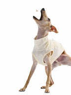 High-performance sun protection, antibacterial, breathable and cooling vest