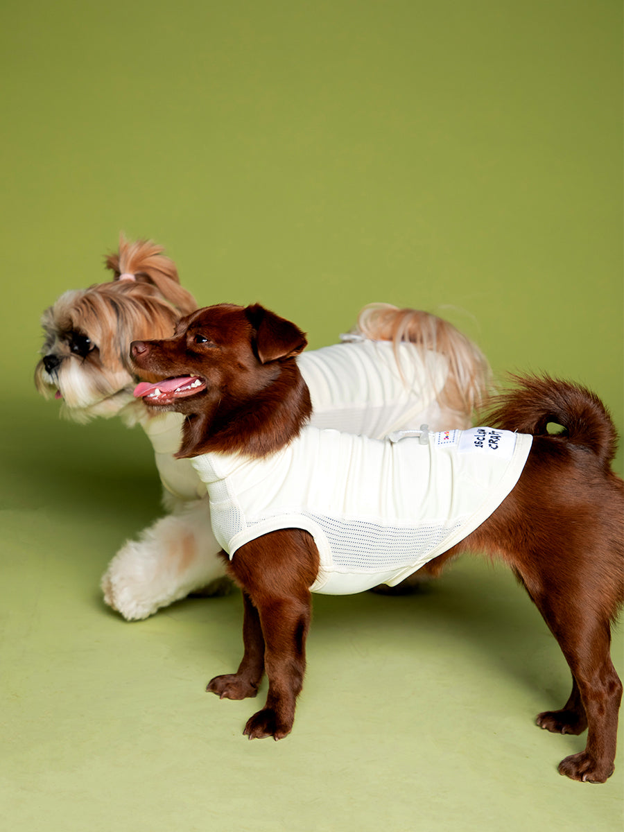 High-performance sun protection, antibacterial, breathable and cooling vest Main image