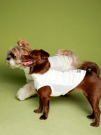 High-performance sun protection, antibacterial, breathable and cooling vest