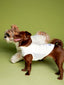 High-performance sun protection, antibacterial, breathable and cooling vest