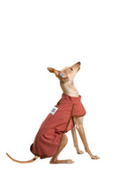 16 CLAW CRAFT - Phase change constant temperature cooling vest