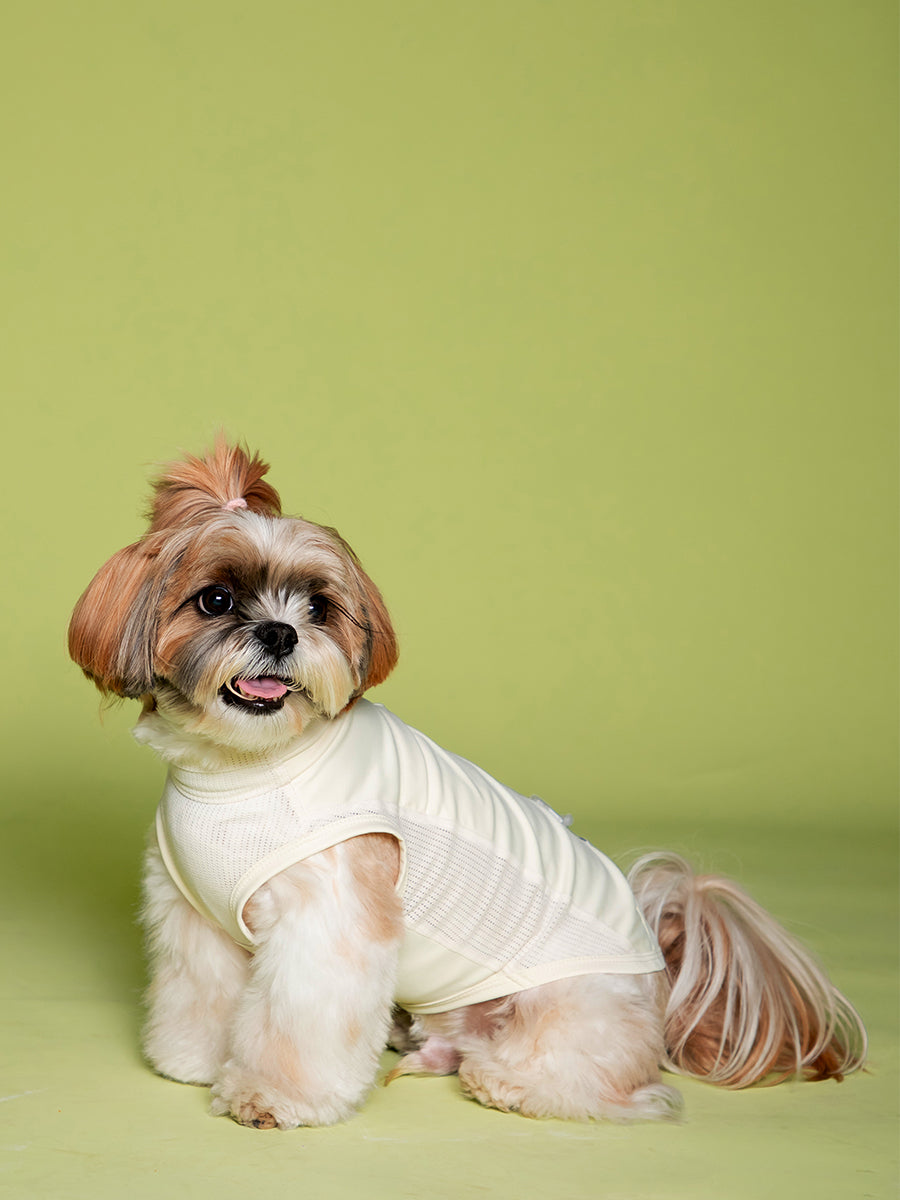 High-performance sun protection, antibacterial, breathable and cooling vest