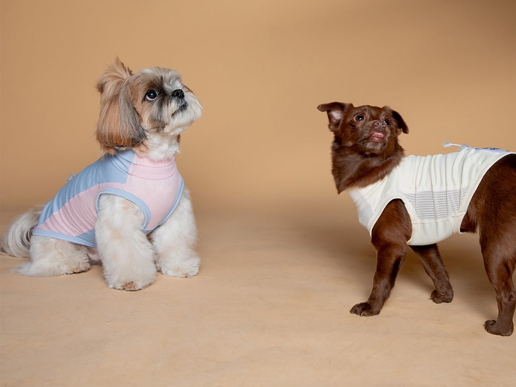 High-performance sun protection, antibacterial, breathable and cooling vest