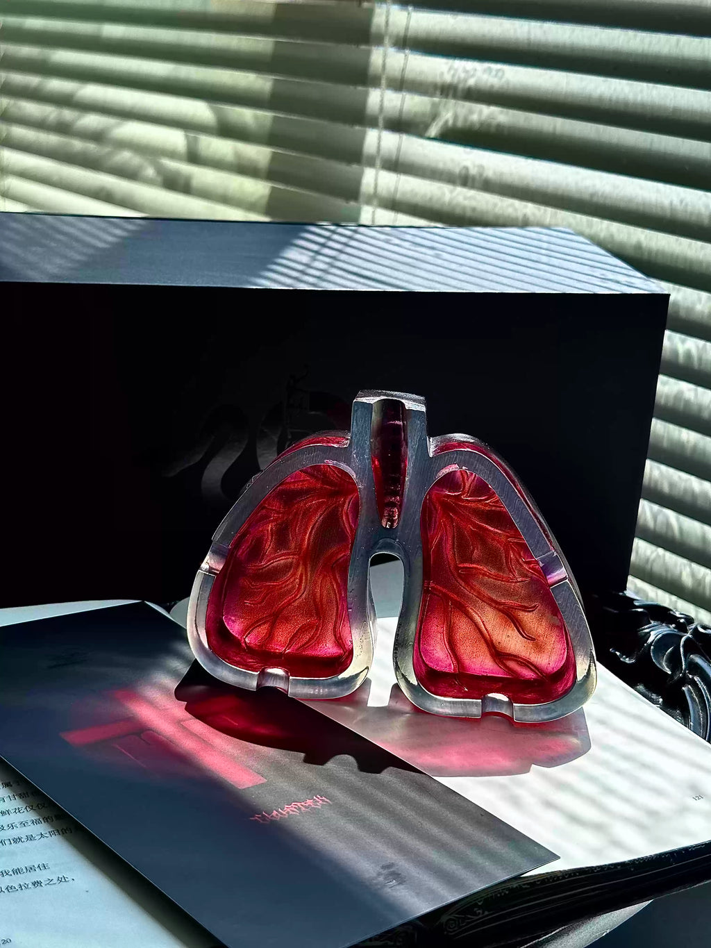 Anatomical Lung Ashtray