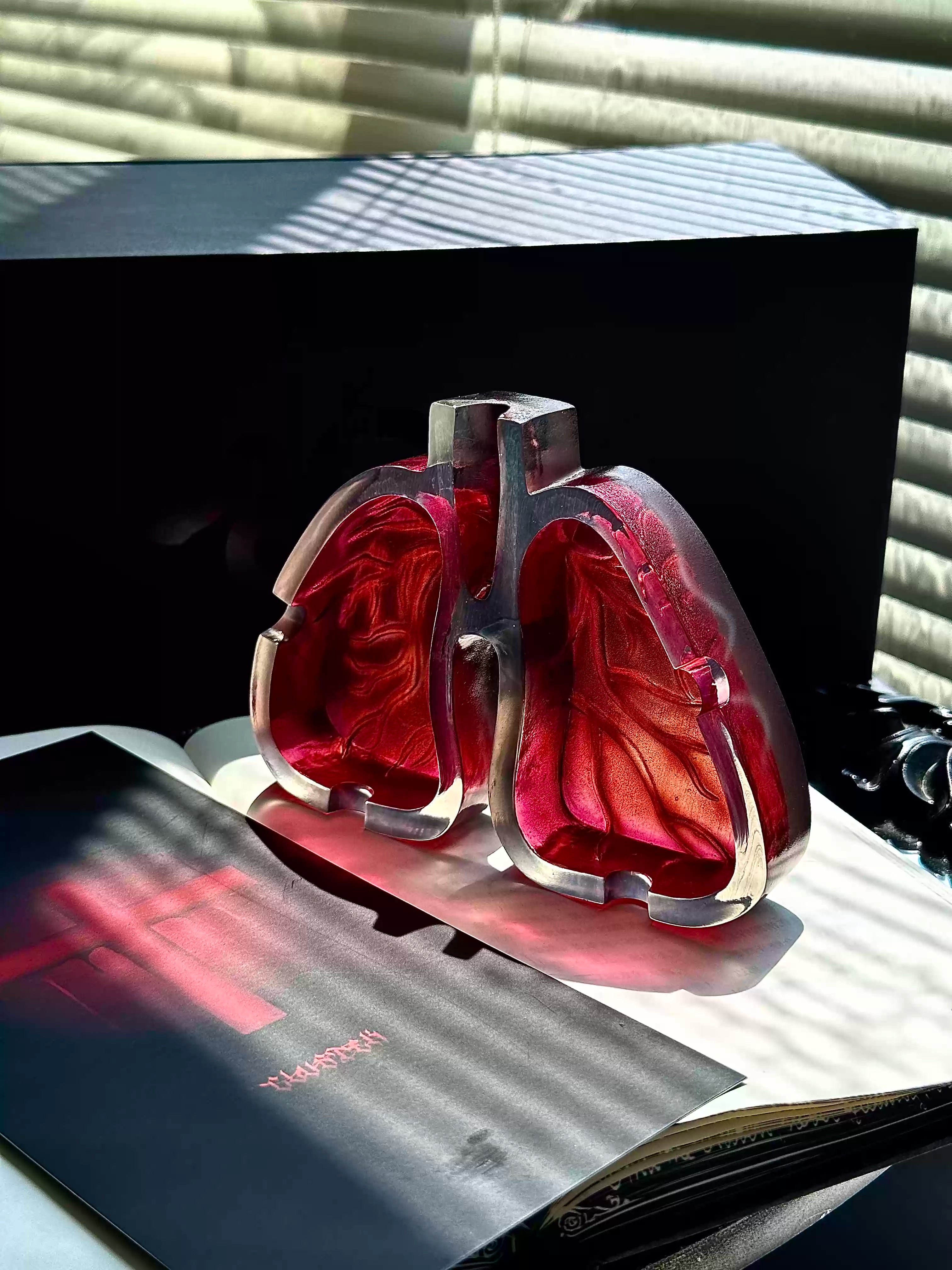 Anatomical Lung Ashtray Secondary image