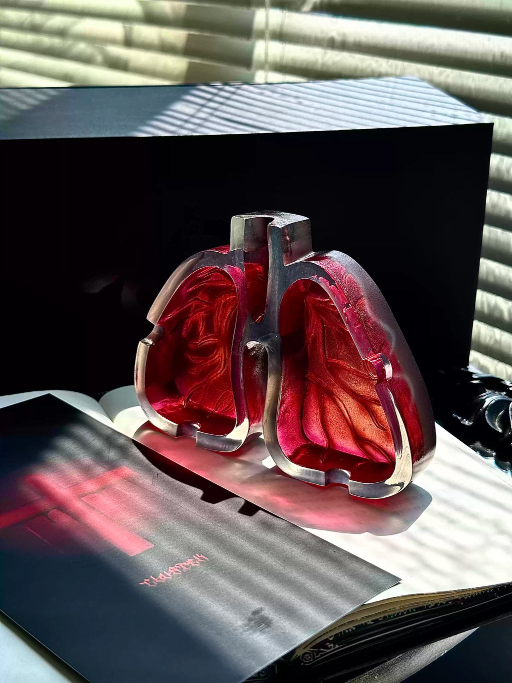Anatomical Lung Ashtray