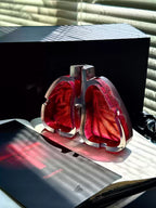 Anatomical Lung Ashtray