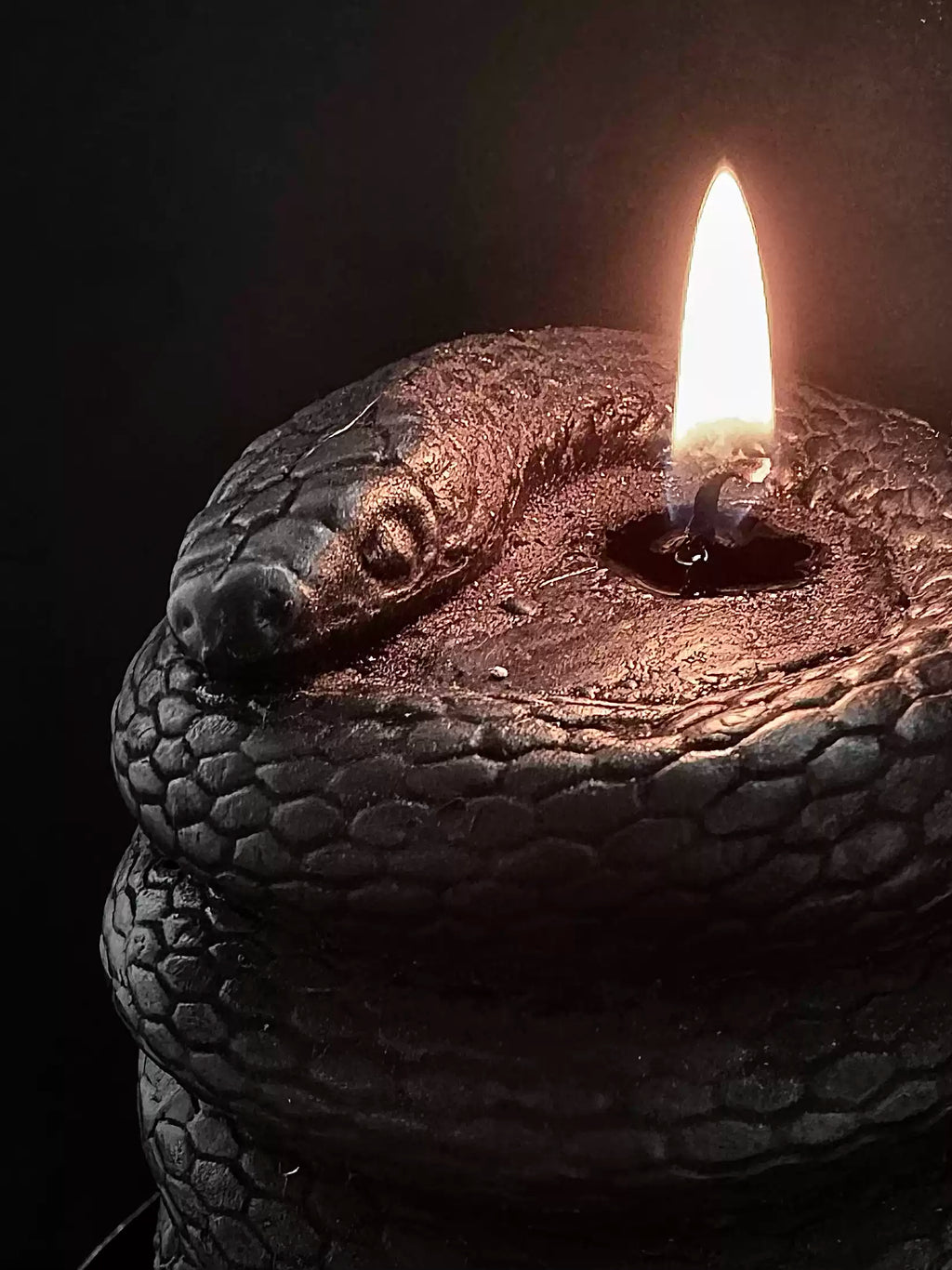 Dark Gothic Coiled Serpent Scented Candle