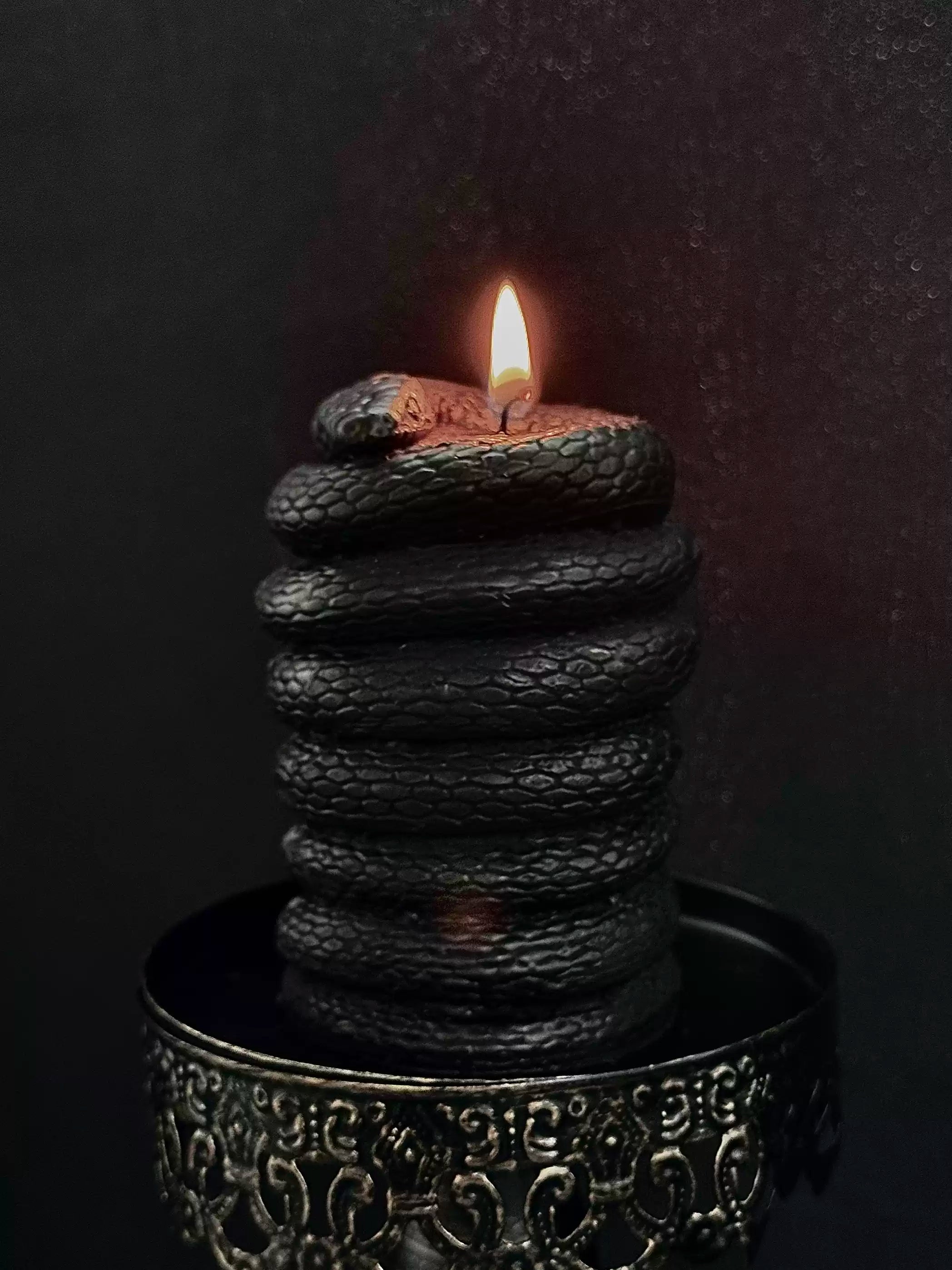 Dark Gothic Coiled Serpent Scented Candle Main image