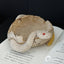 Rattlesnake Ashtray