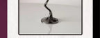 Serpent Martini Glass