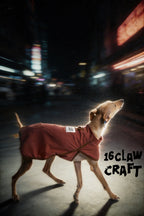 16 CLAW CRAFT - Phase change constant temperature cooling vest